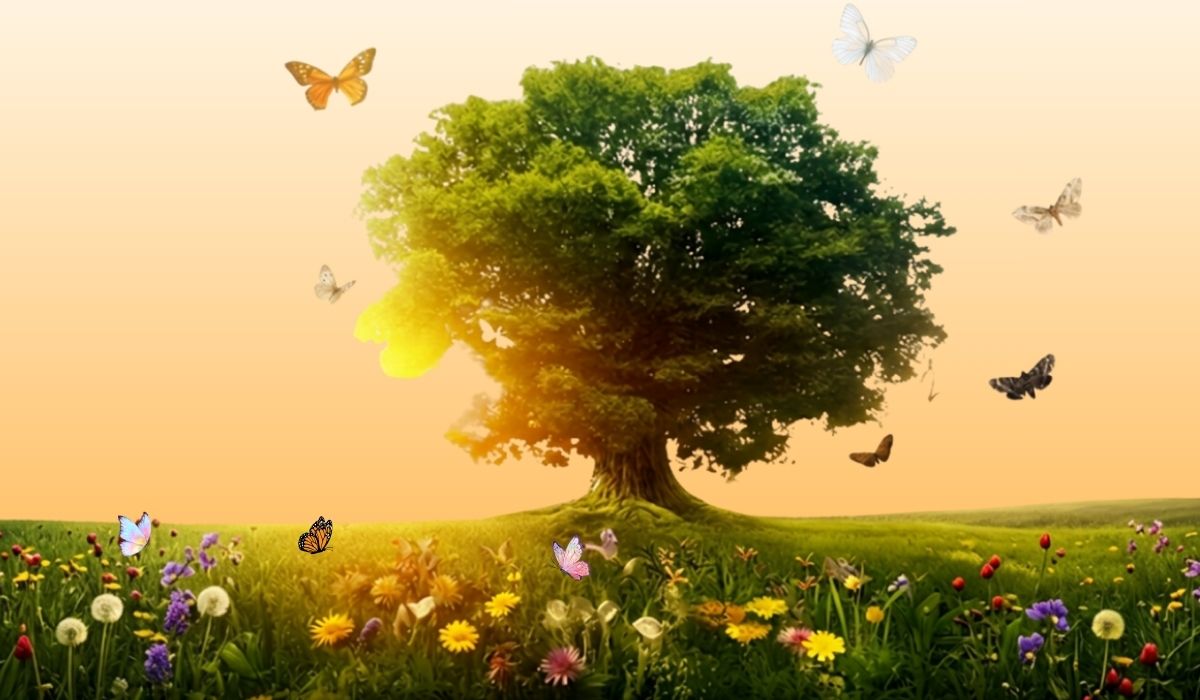 arbol con mariposa definitivo