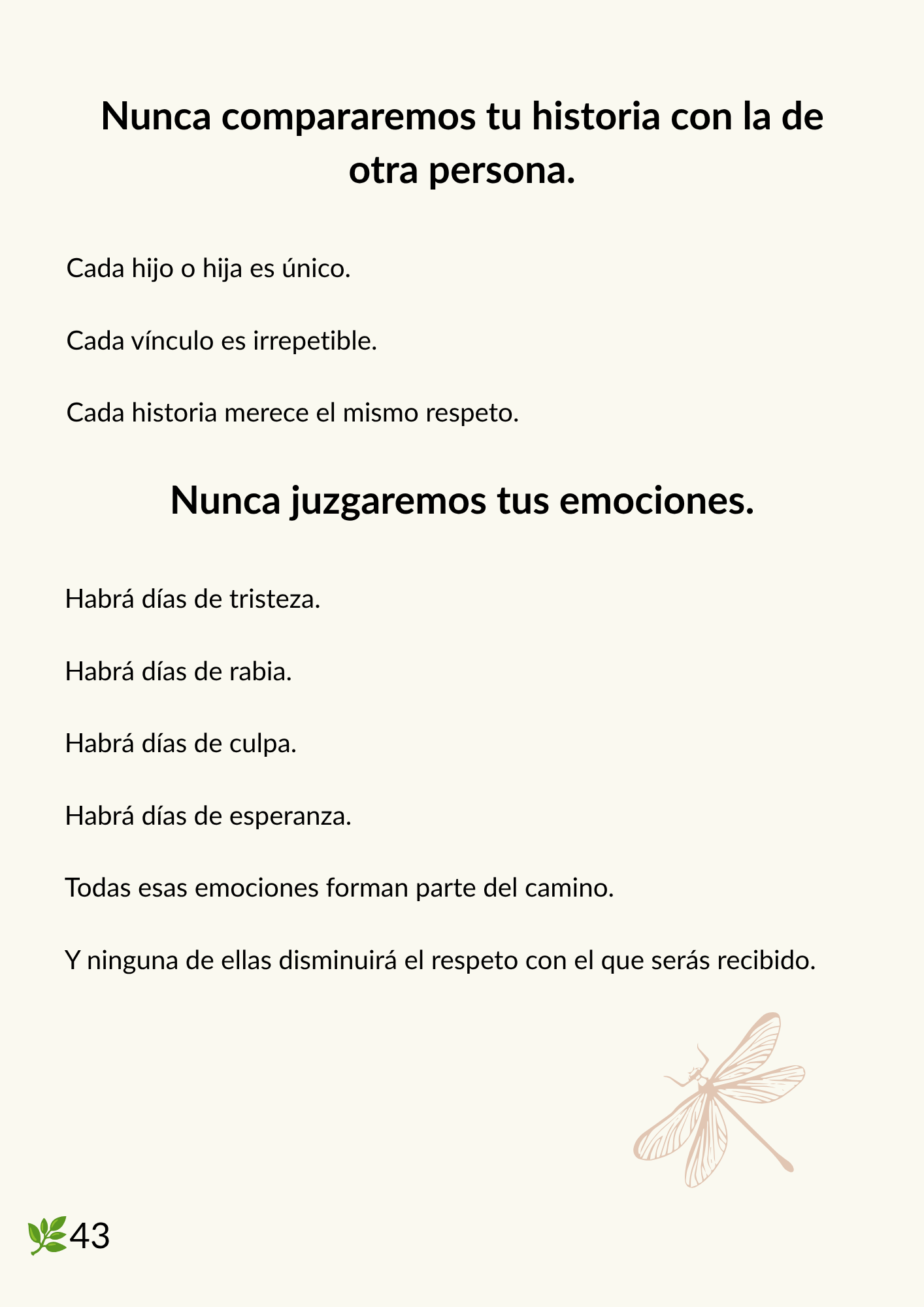 pagina 43